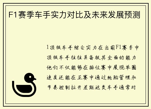 F1赛季车手实力对比及未来发展预测