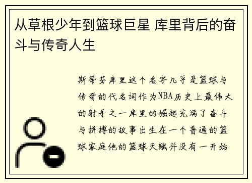 从草根少年到篮球巨星 库里背后的奋斗与传奇人生